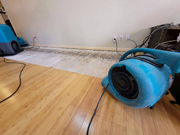 Professional Basement Flood Cleanup technician working in Dexter, NM